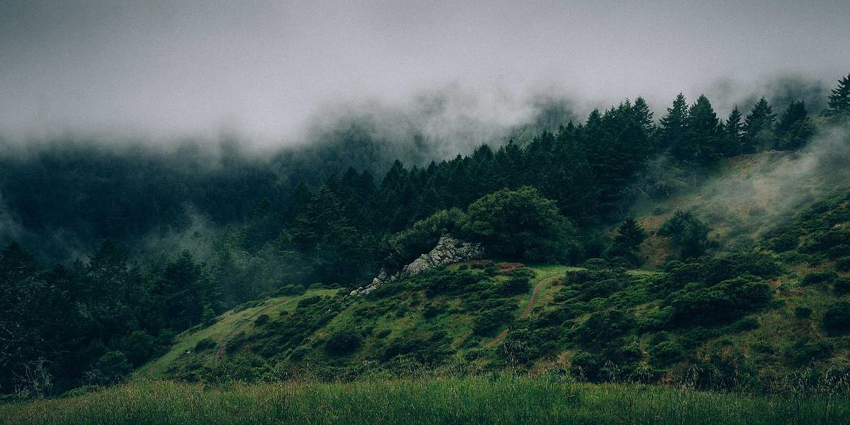 Jak vybrat tu pravou kávu na espresso